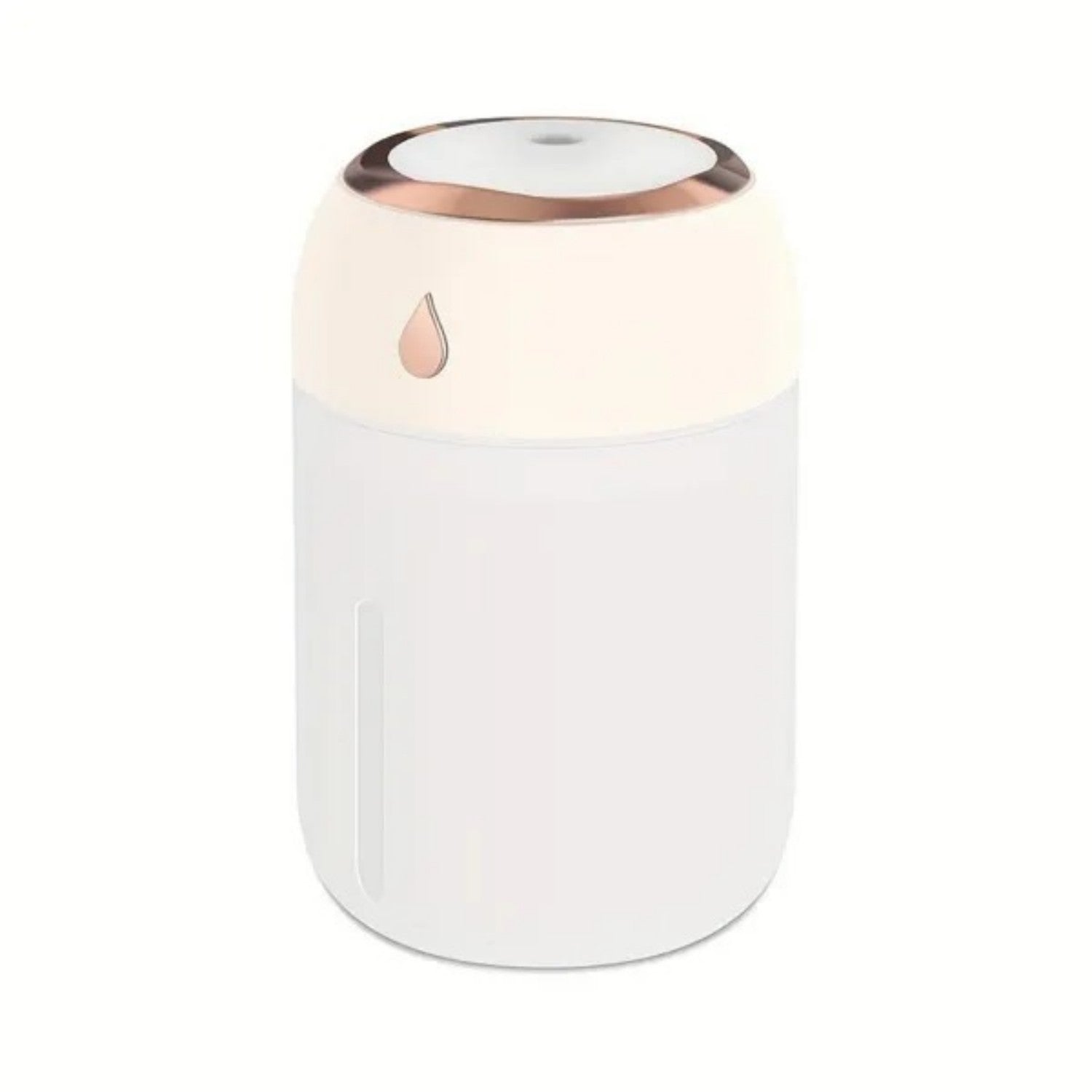 Mini USB Humidifier