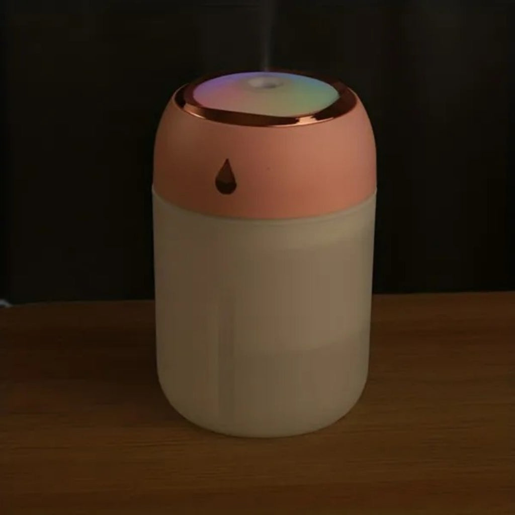 Mini USB Humidifier